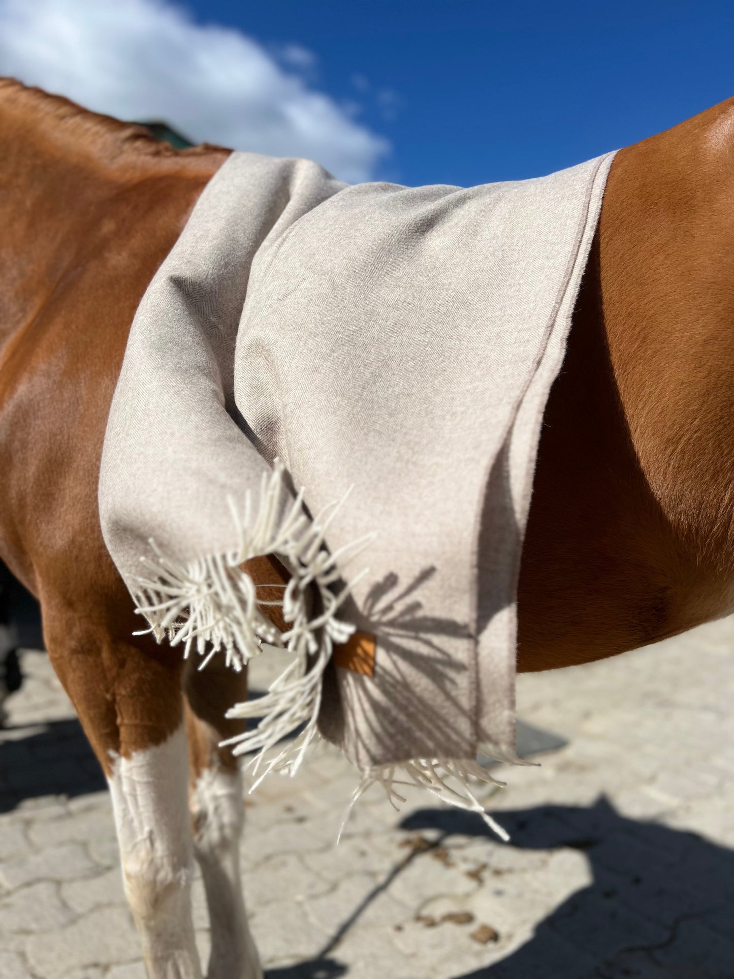 Beige Blanket